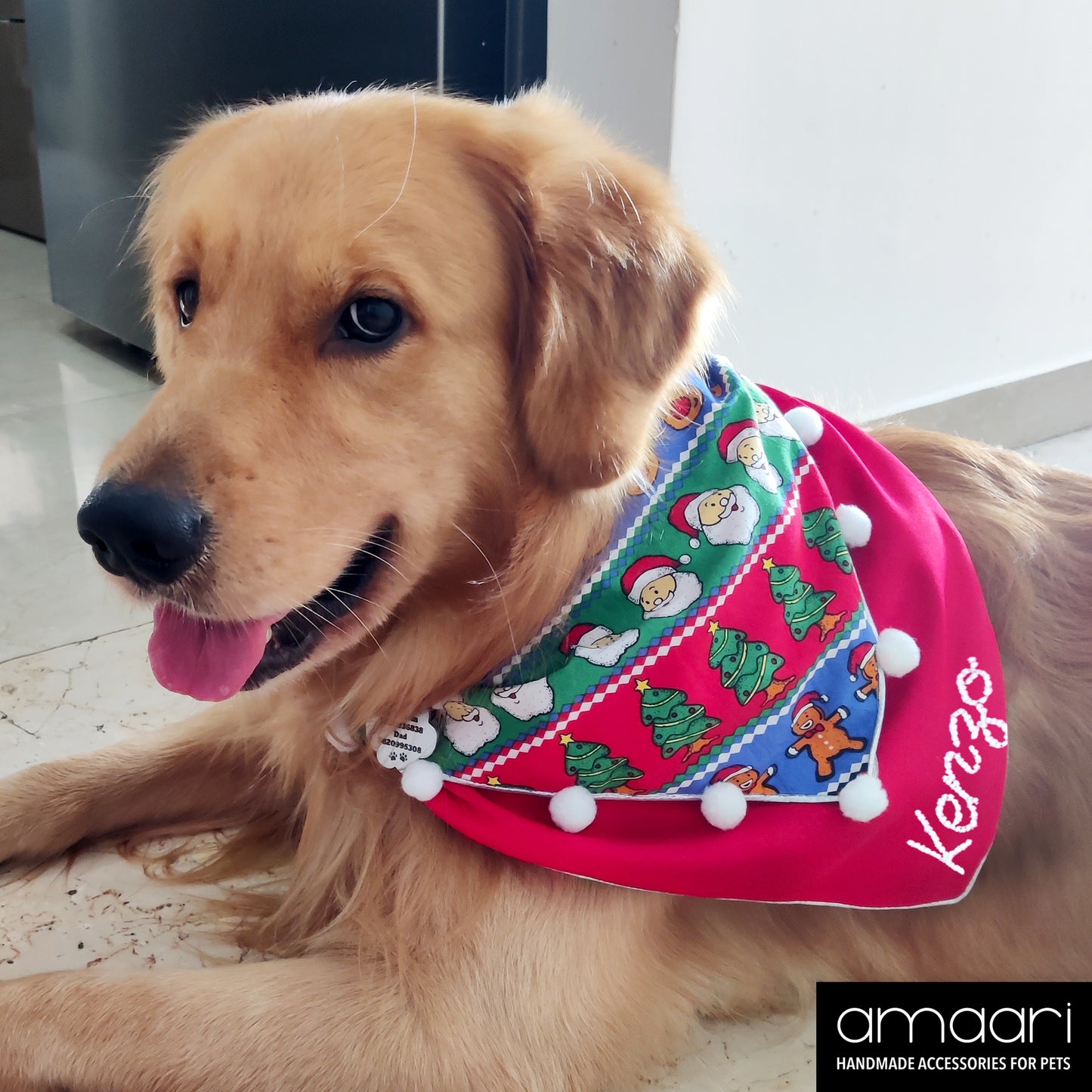 CHRISTMAS CARNIVAL Scarf