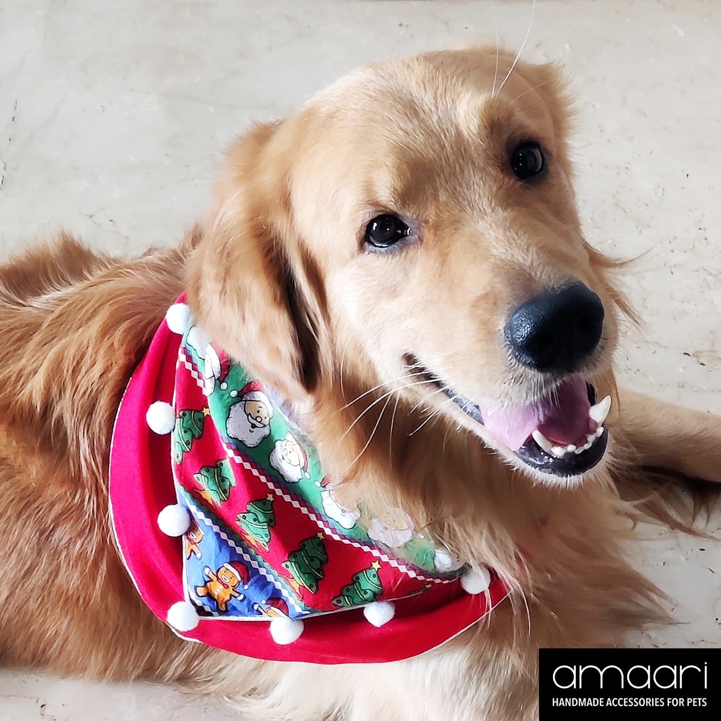 CHRISTMAS CARNIVAL Scarf