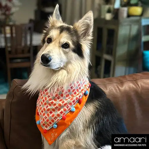 ECLECTIC ELEGANT Scarf