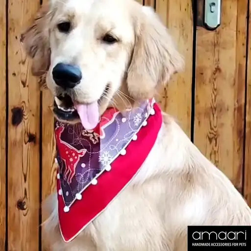JOYFUL REINDEER Scarf