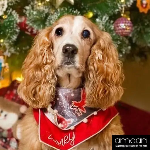 JOYFUL REINDEER Scarf