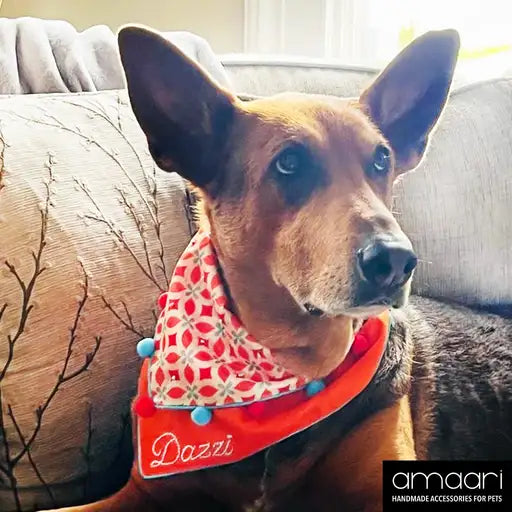 ECLECTIC ELEGANT Scarf