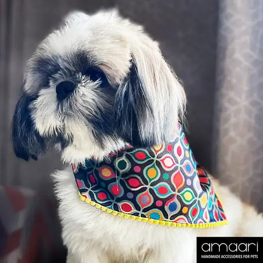 PLAYFUL POLKA Scarf