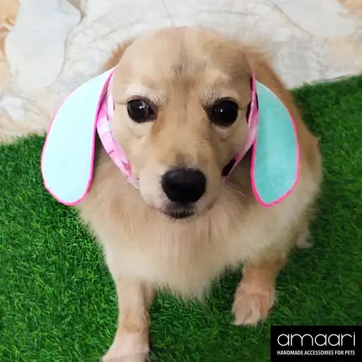 BLISSFUL BLOSSOM Anti-anxiety Ear Muff