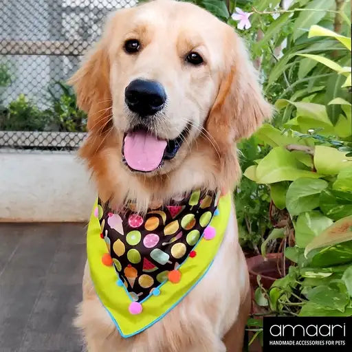 NOM NOM Scarf