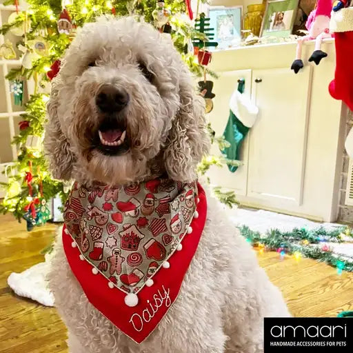 CHRISTMAS COOKIE Scarf