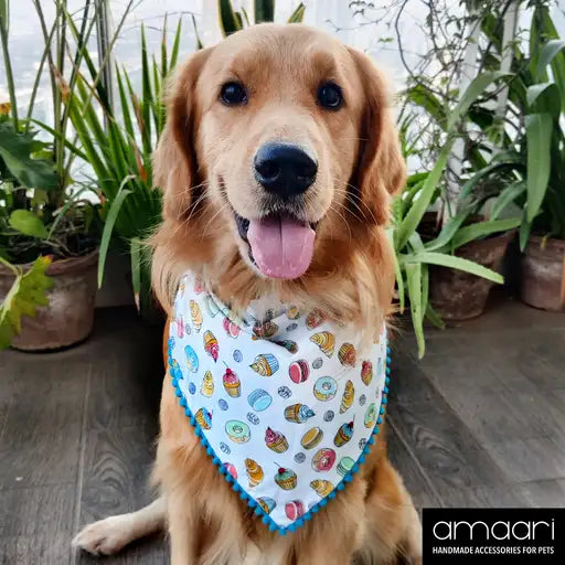 PUPPY PATISSERIE Scarf