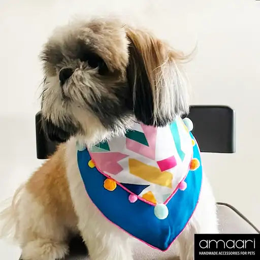 PASTEL POP Scarf