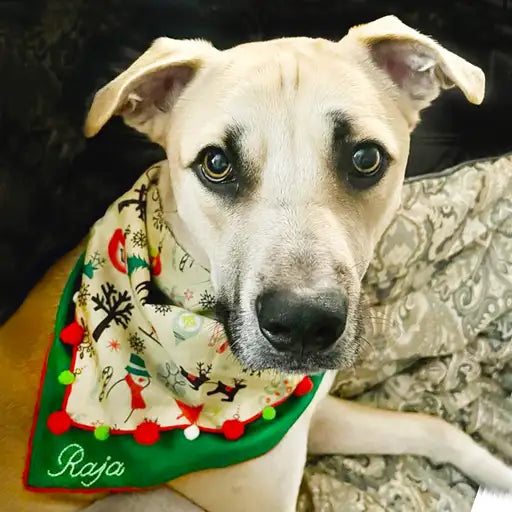 CHRISTMAS CHEER Scarf
