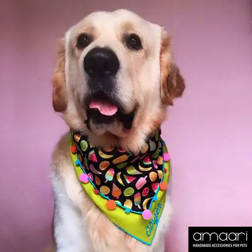 NOM NOM Scarf