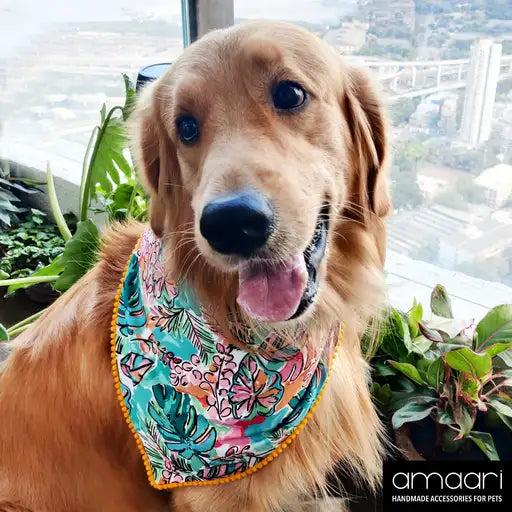 TROPICAL PARADISE Scarf