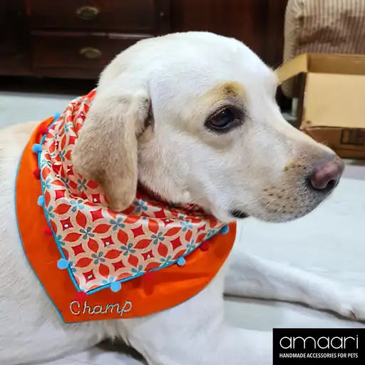 ECLECTIC ELEGANT Scarf