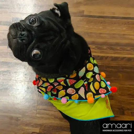 NOM NOM Scarf