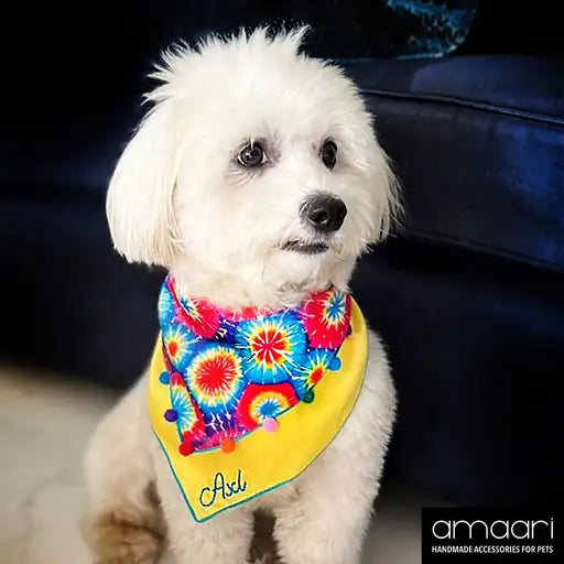 FLASHY SPLASHY Scarf