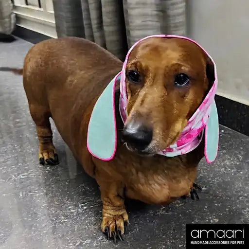 BLISSFUL BLOSSOM Anti-anxiety Ear Muff