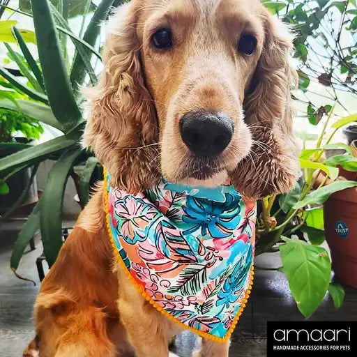 TROPICAL PARADISE Scarf