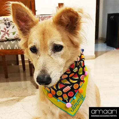 NOM NOM Scarf